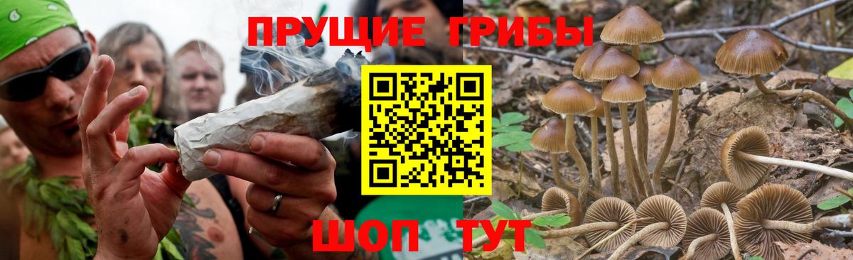 Псилоцибиновые грибы Magic Shrooms  Вход с VPN  Губаха 
